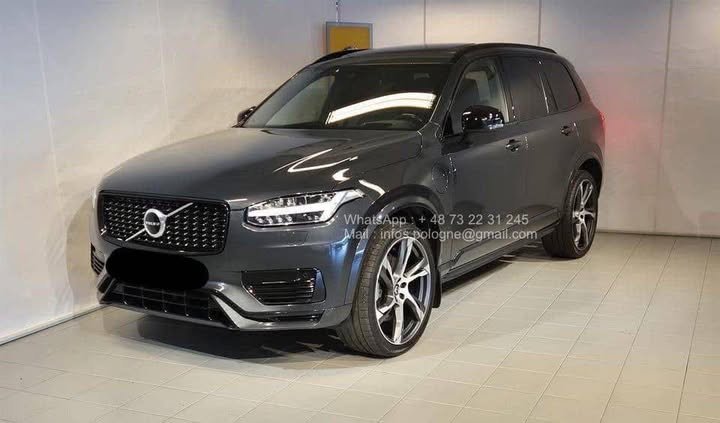 FB_IMG_1771548302670