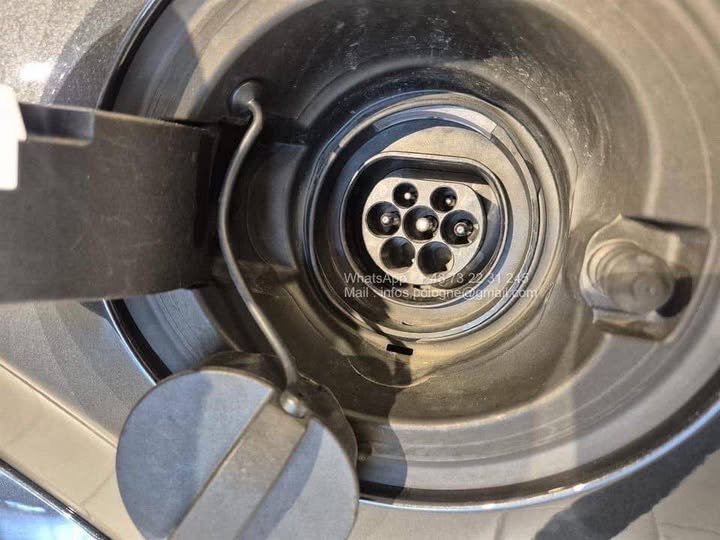 FB_IMG_1771548349760