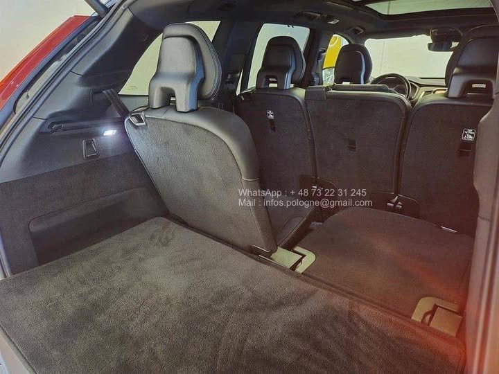 FB_IMG_1771548390447