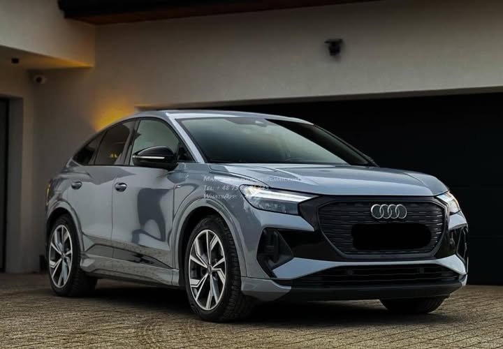 FB_IMG_1771632716340