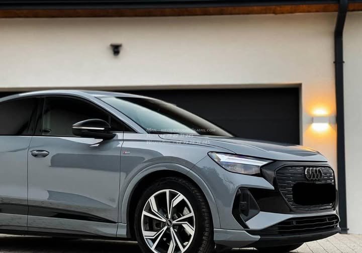 FB_IMG_1771632721652