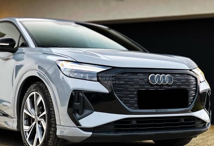 FB_IMG_1771632723672