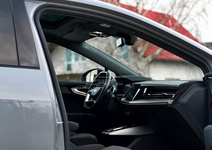 FB_IMG_1771632732534