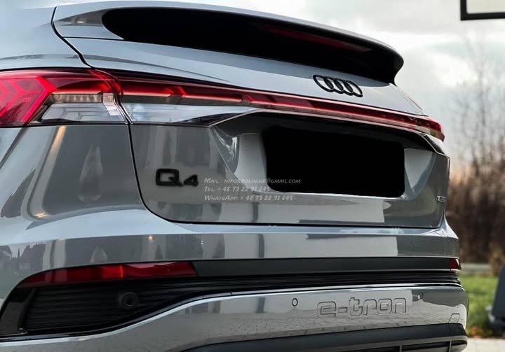 FB_IMG_1771632741348