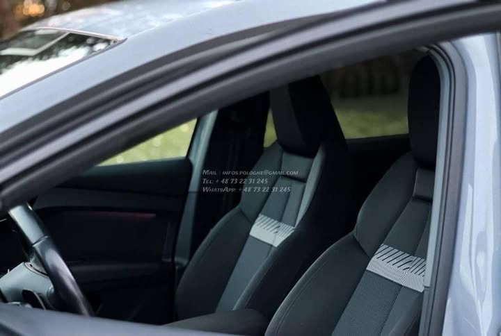 FB_IMG_1771632761614