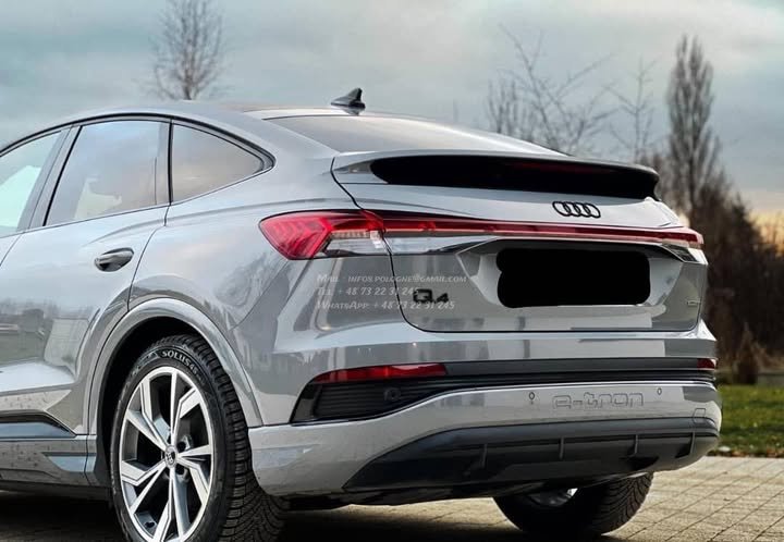 FB_IMG_1771632763989