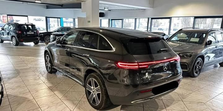 FB_IMG_1771638296328