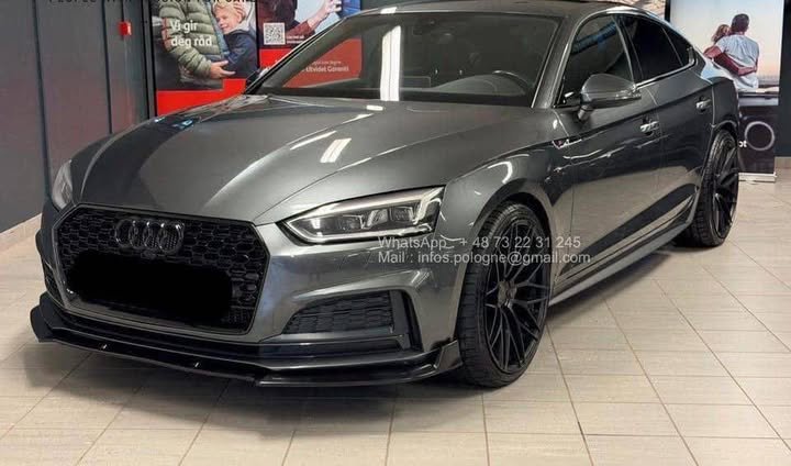 FB_IMG_1771639439693