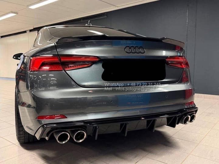 FB_IMG_1771639442224