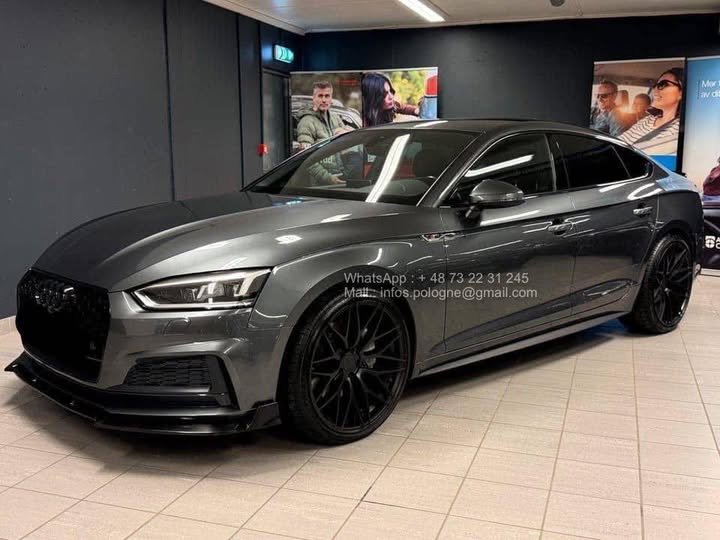 FB_IMG_1771639448871