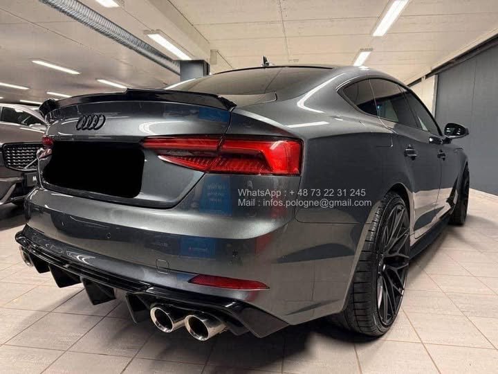 FB_IMG_1771639451243