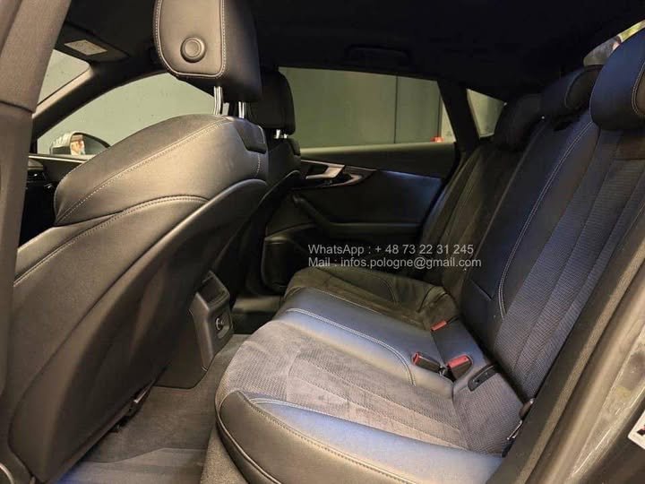 FB_IMG_1771639476883