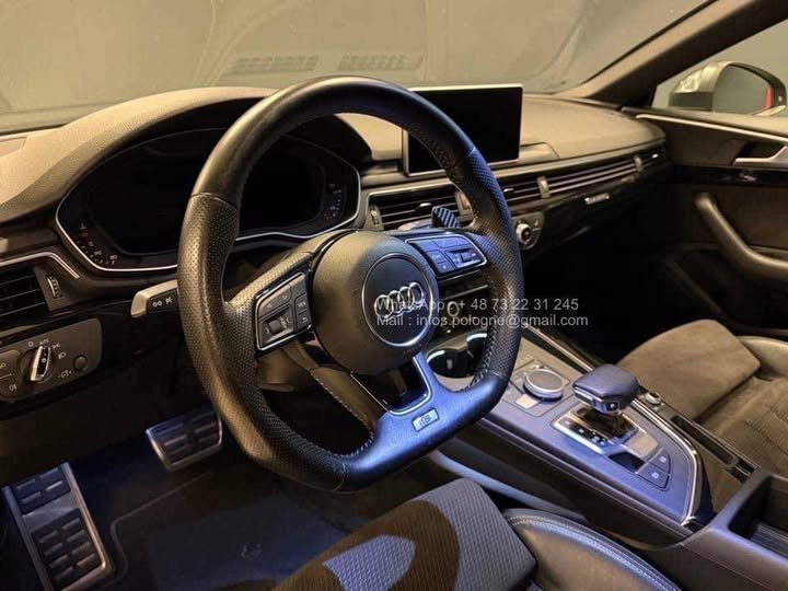 FB_IMG_1771639484754