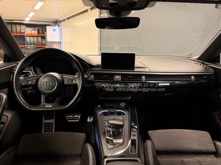 FB_IMG_1771639488884