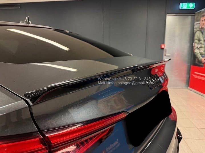 FB_IMG_1771639525741