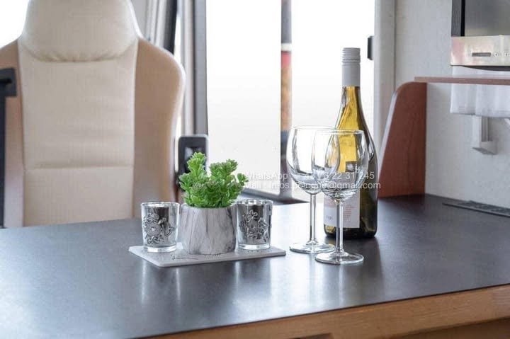 FB_IMG_1771801356311