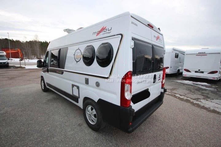 FB_IMG_1771801775202