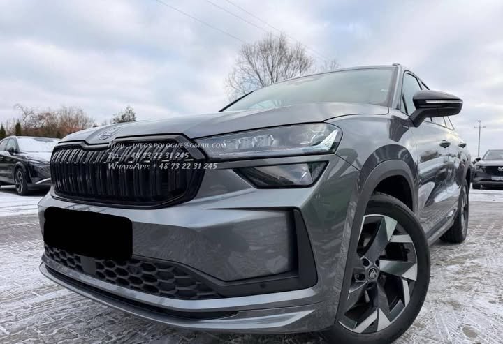 FB_IMG_1771802904488