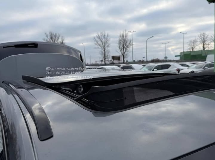 FB_IMG_1771802981244