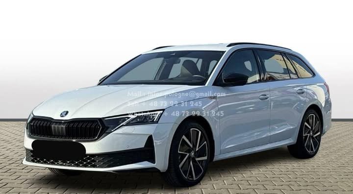 FB_IMG_1771806483402