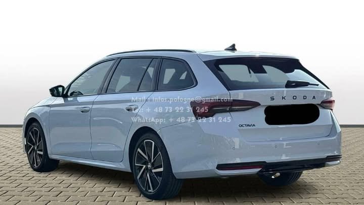 FB_IMG_1771806512436