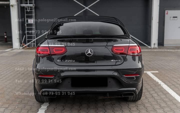 FB_IMG_1771886646456