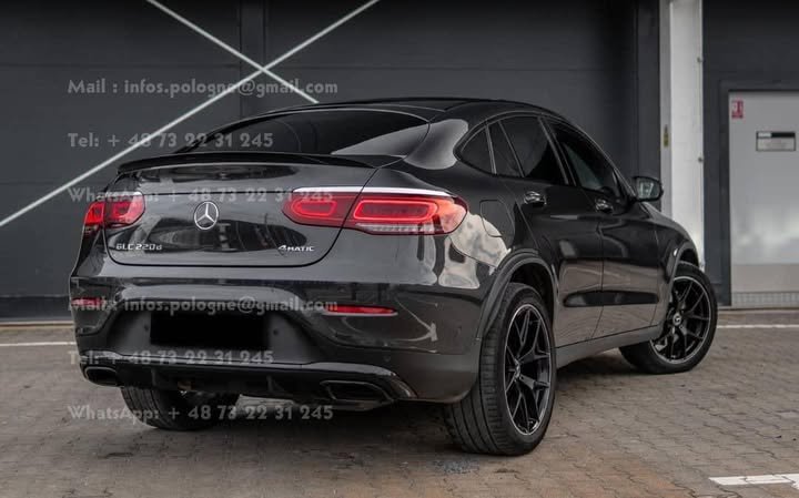 FB_IMG_1771886648984