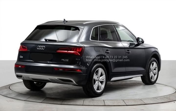 FB_IMG_1771980226178