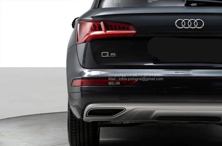 FB_IMG_1771980263050