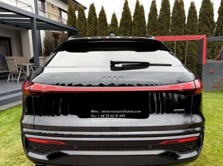 FB_IMG_1771986388768