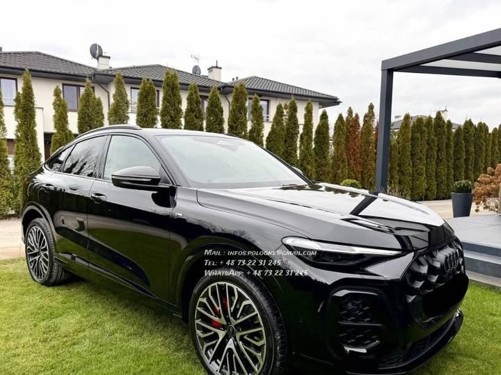 FB_IMG_1771986397330