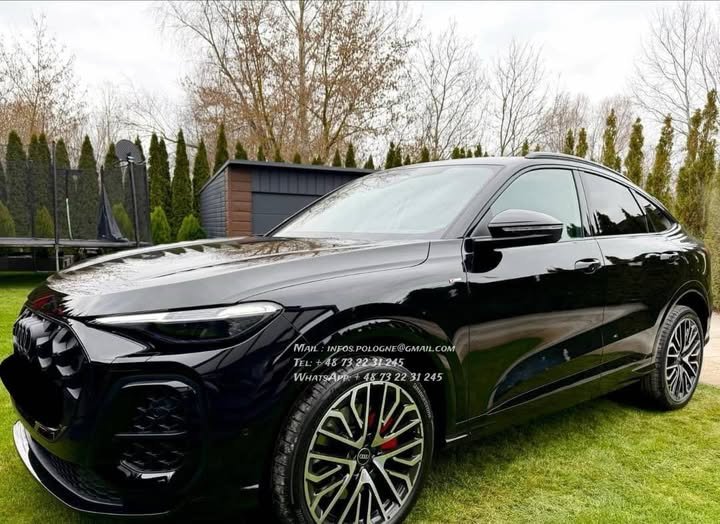 FB_IMG_1771986399135