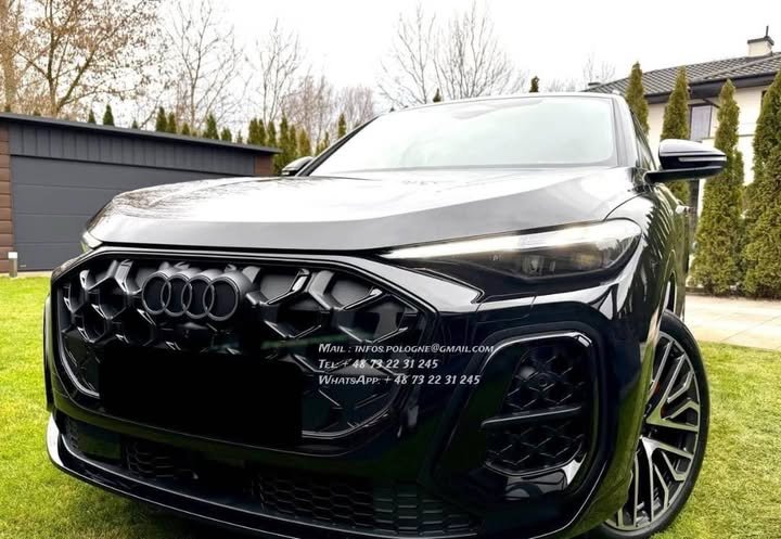 FB_IMG_1771986405425