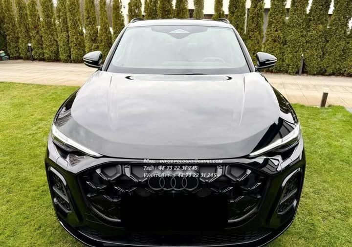 FB_IMG_1771986446516