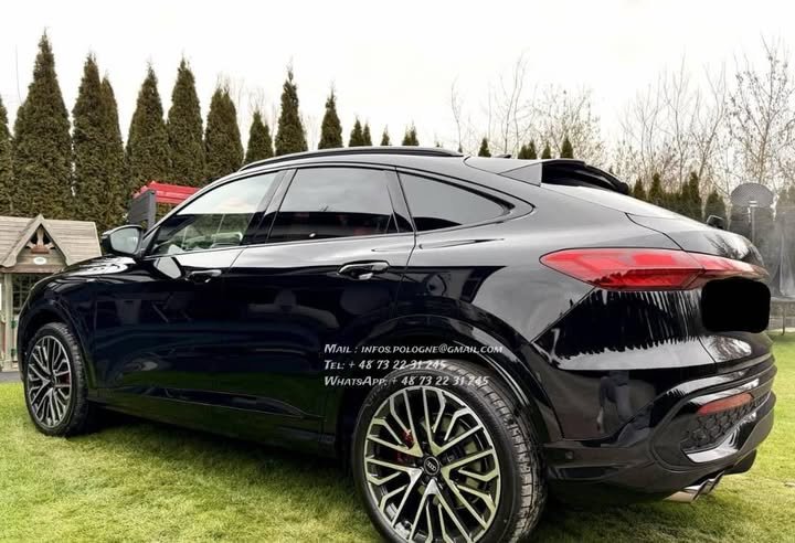 FB_IMG_1771986451810