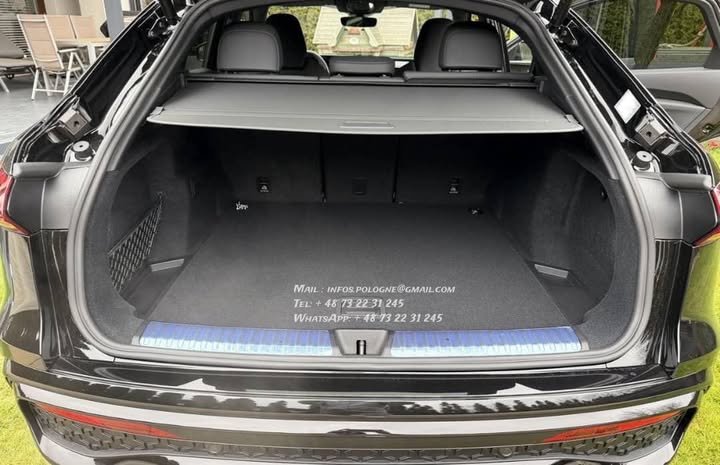 FB_IMG_1771986501746