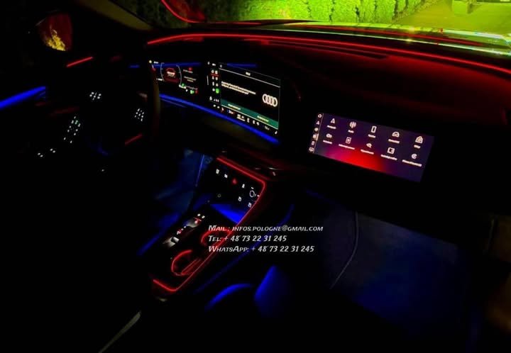 FB_IMG_1771986533765