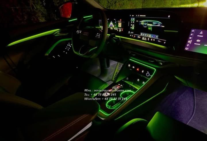 FB_IMG_1771986558867